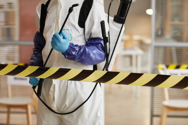 Professional Sewage Cleanup technician working in Adelanto, CA